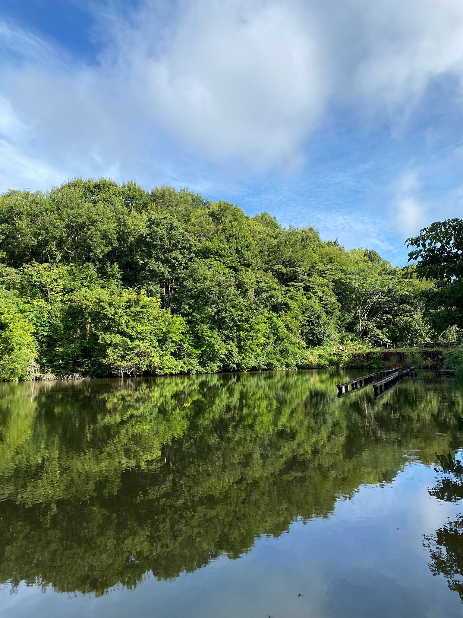 くつわ池自然公園キャンプ場の場内の写真