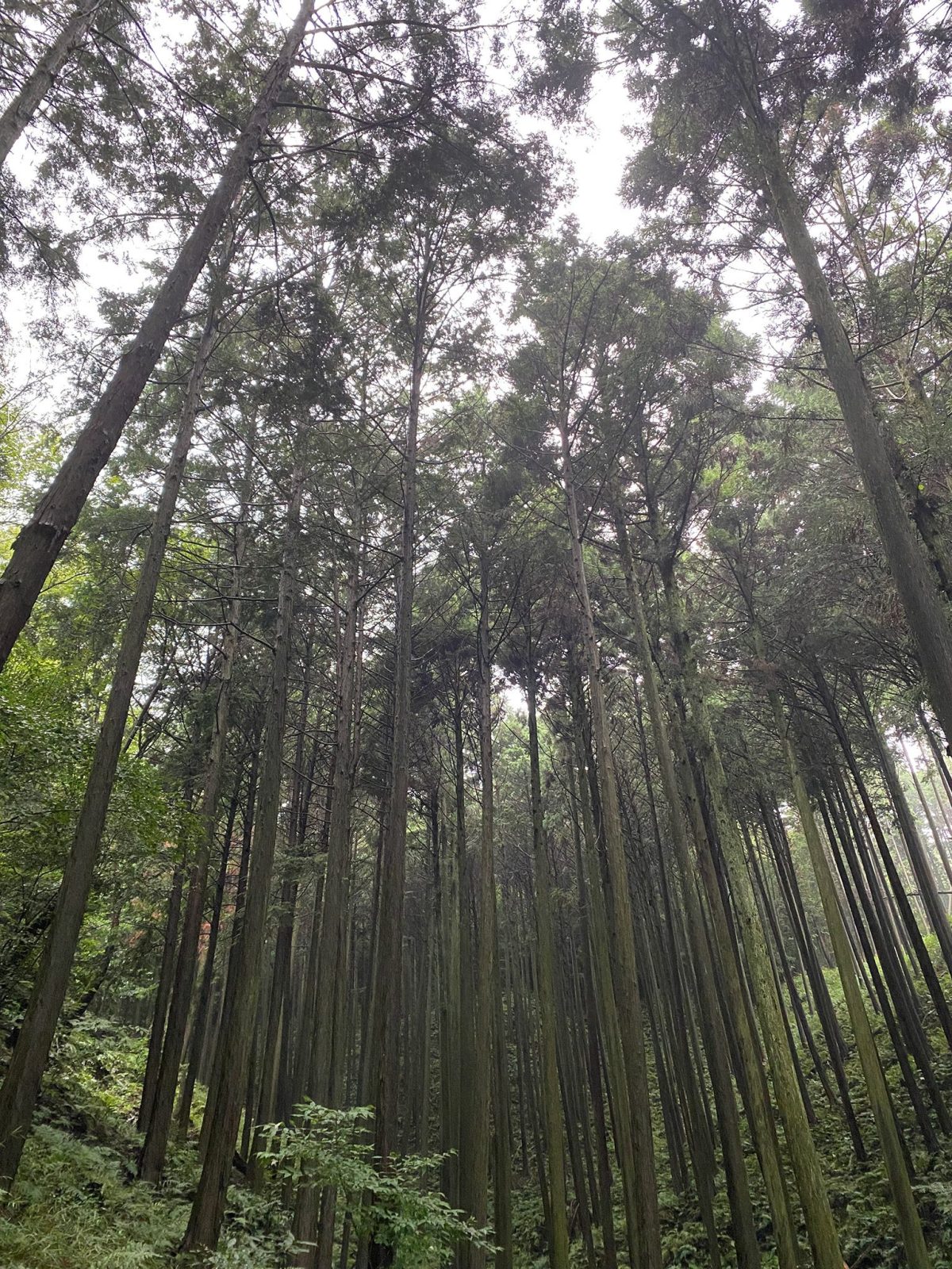 おすすめエリア